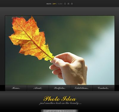 探索全球視野 精選國外網頁與網站設計模板素材